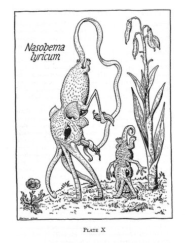 Datei:Nasobem.jpg