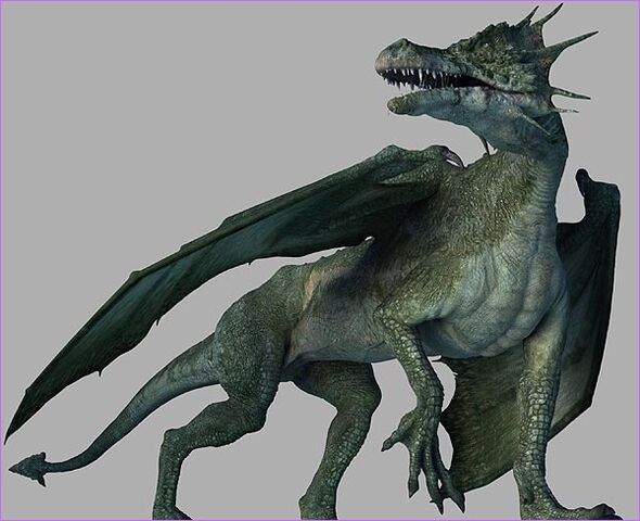 Datei:Europäischer Drache-1-.jpg