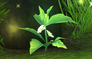 Green Tea Leaf (1)