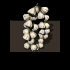 Knoblauch.png