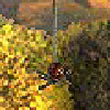 Spinne.png