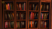 Bücherregal.png