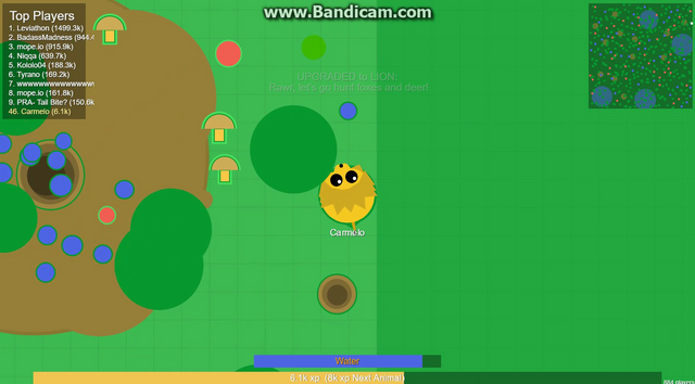 File:A stuck Lion.png