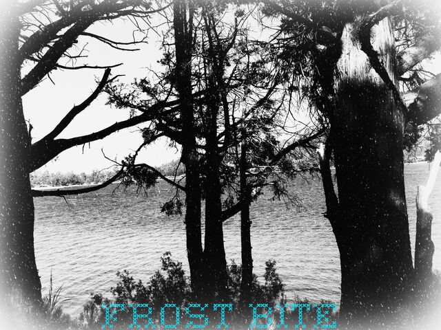 File:Frostbite2687.jpg