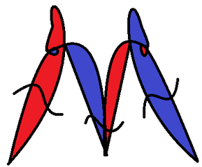 Morphopedian Logo