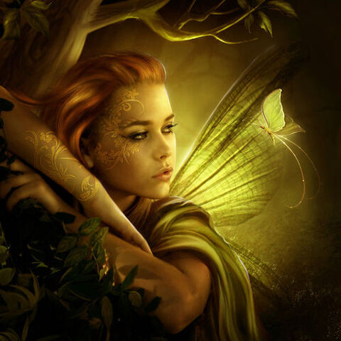 File:Forestkin.jpg