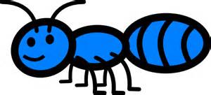 File:Mila ant.jpg