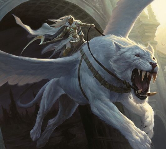 File:PaladinoftheOrder.jpg