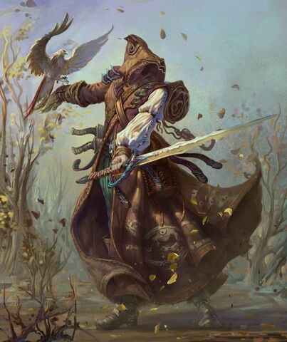 File:BraveAdventurer.jpg
