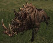 Mo-razorback