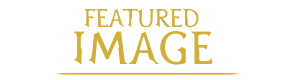 SHmainpage-image