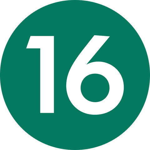 Файл:Линия 16.png