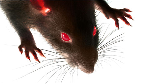File:COV Rat 2.jpg