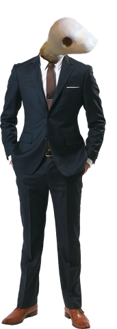 File:Skeltu.png