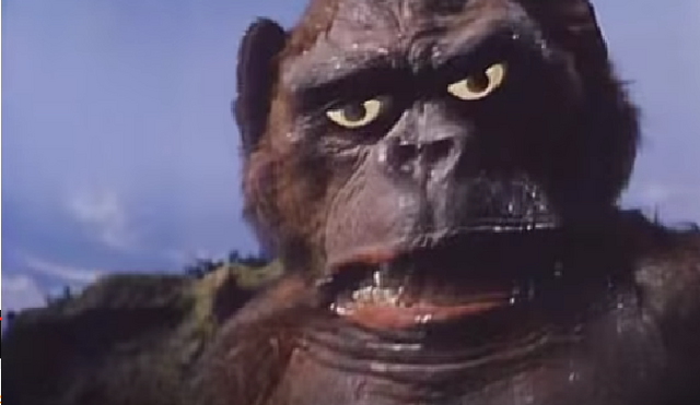 File:Gorilla.png