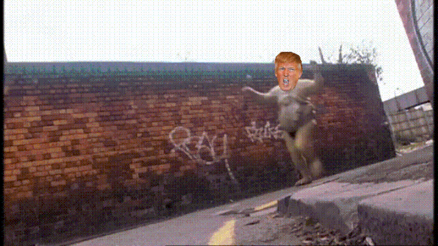 File:Abzorbatrump Chases Mexico.gif
