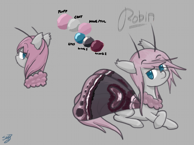 File:Robin.png
