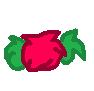 Fluffy Fruit