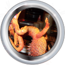 File:Badge-category-4.png