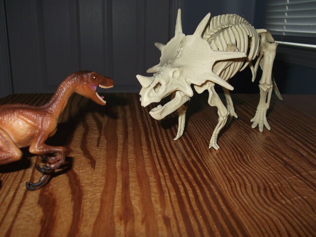 File:DSCF1473.jpg