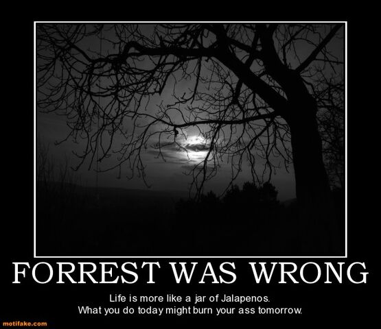 File:Forrest-was-wrong-forrest-gump-life-like-jalapenos-demotivational-posters-1297283313.jpg