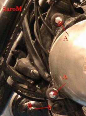 Sarolea BL Lenkkopf.jpg