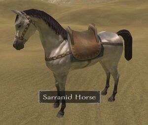 SarranidHorse