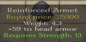 Reinforced Armet