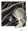 Thumbnail for version as of 03:58, May 24, 2011