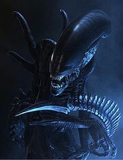 Alien (1)