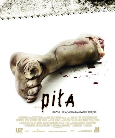 Plik:Piła.jpg