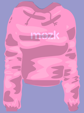File:RetiredClothing-CuteHoodie.png