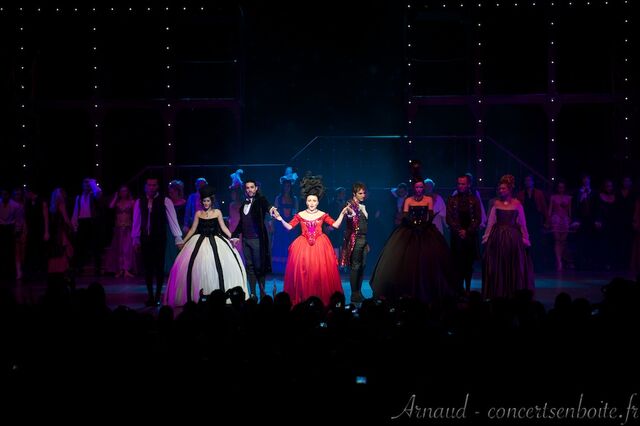 Fichier:Mozart-lopera-rock-le-dome-marseille-11-06-11-32.jpg