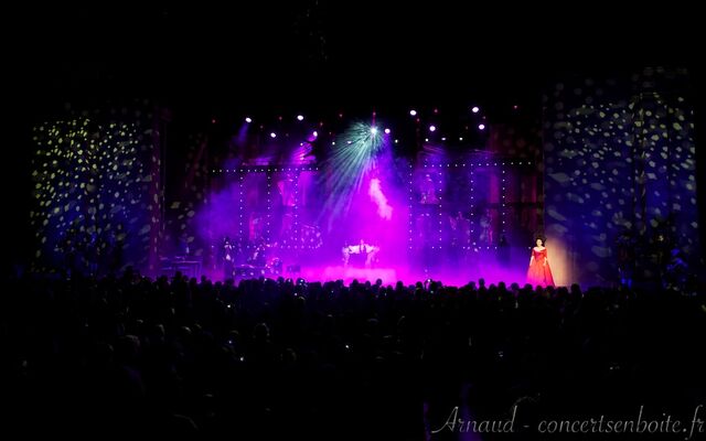 Fichier:Mozart-lopera-rock-le-dome-marseille-11-06-11-31.jpg