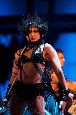 Fichier:Mozart-lopera-rock-le-dome-marseille-11-06-11-24.jpg
