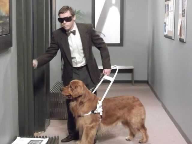File:Mr. Dog01.jpg