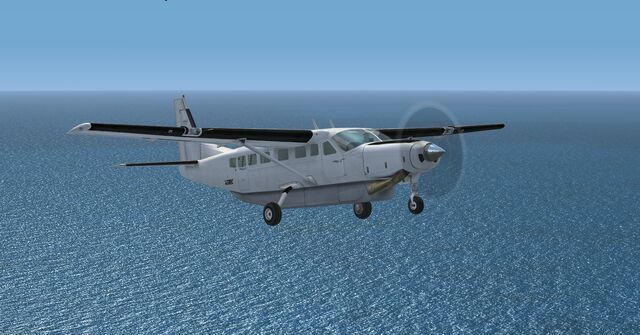 File:C208BWhite.jpg