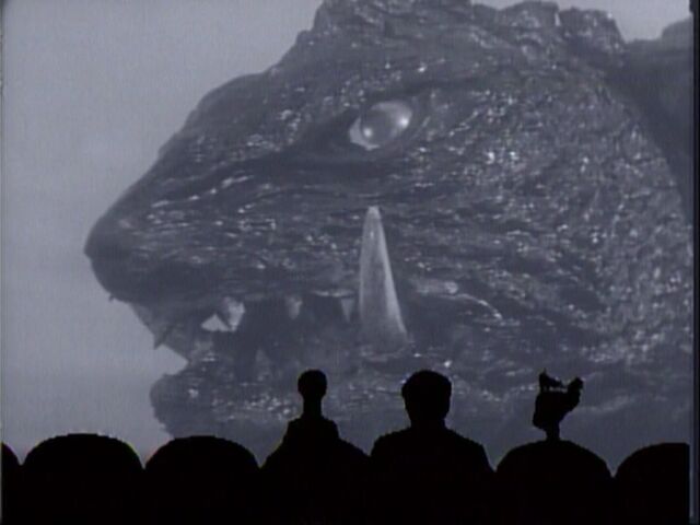 File:Gamera in Gamera (1965).jpg