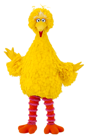 File:BigBird.png
