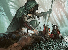Stf163 woodlandSleuth