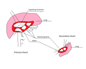 Yuharon Cardiovascular Centers