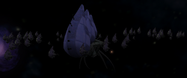 Cephalid ship