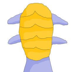 Gorkhan hand