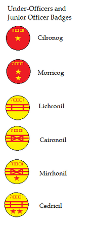 Under and junior officers