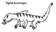 Tigrid scavenger