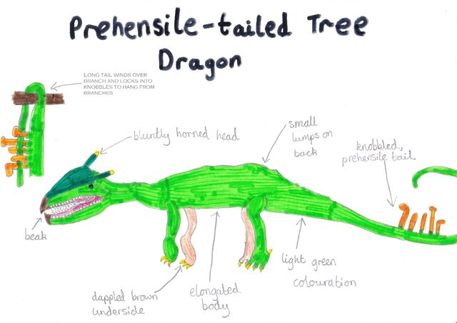 File:Prehensile tailed tree dragon.jpg