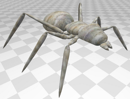 Alvus ant