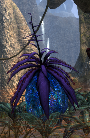 File:Ovoweed.png