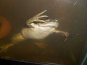 DSCN0367