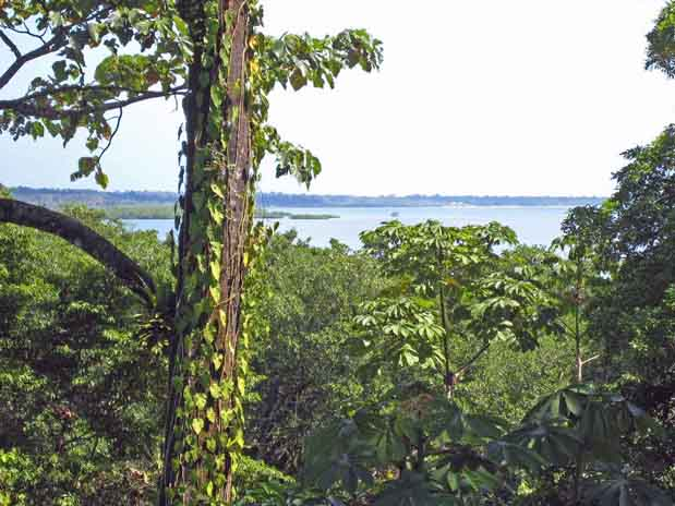 File:Tropica3.png